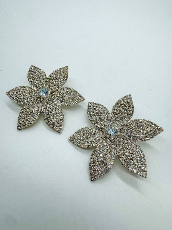 Pendientes - Imagen 1