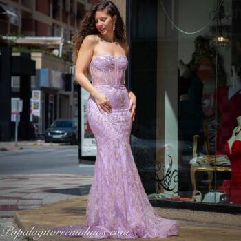 Vestido Princesa